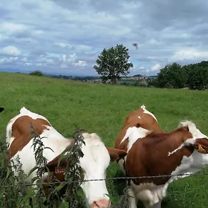 Séjour chez l'habitant D'hôtes Les Myriades D'or, Regny